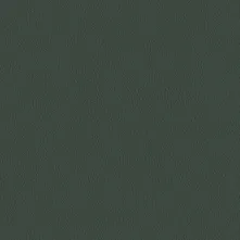 Reseda Swatch Teaser